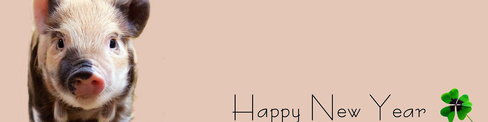 Liebe Mitglieder, Freunde und Gönner